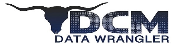 DCM Data Wrangler